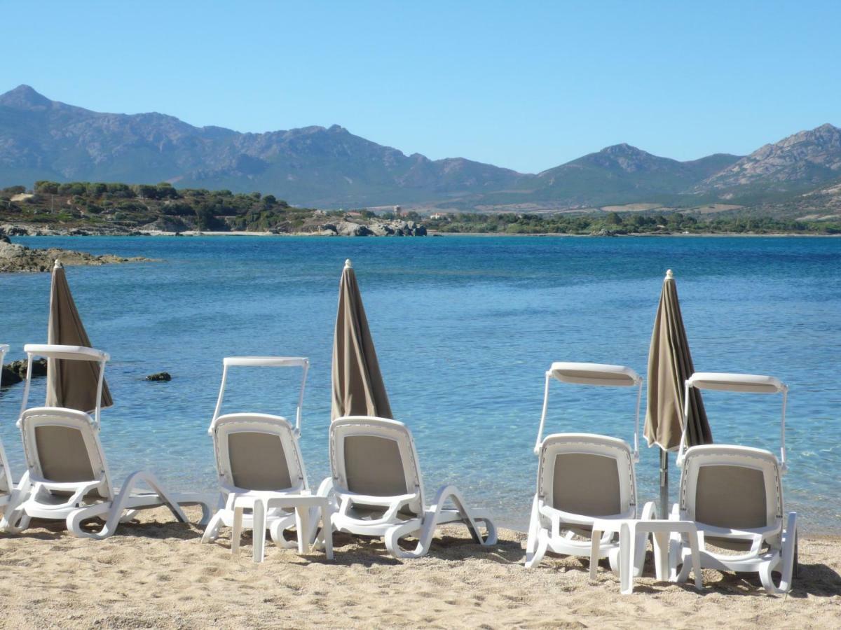 Corse - Lumio, Balagne Petite Maison Loft, Vue Imprenable Sur Le Golfe De Calvi Exteriér fotografie